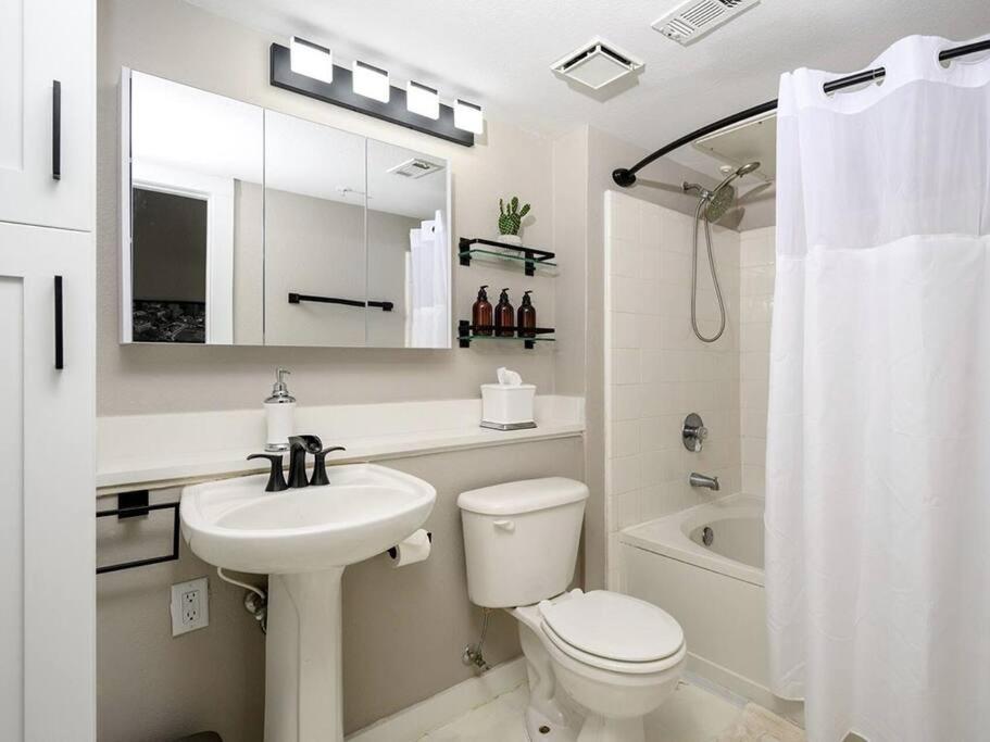 Downtown Luxury Apartment
